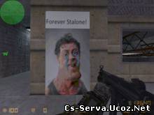 forever stalone