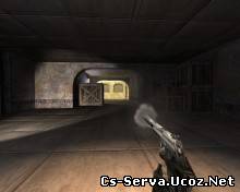 USP W/ Chrome