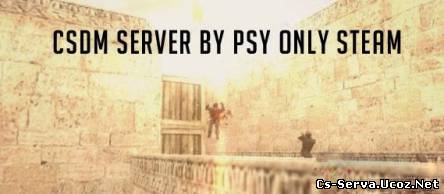 Новый CSDM сервер года © Psy 2013