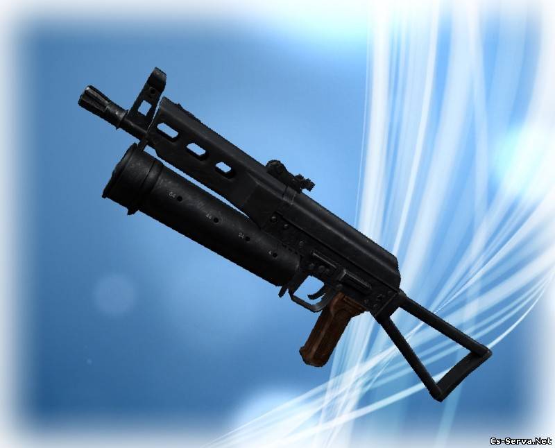 PP-Bizon