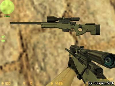 Arctic Warfare Magnum
