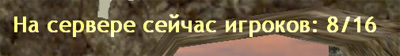 Показывает сколько людей на сервере