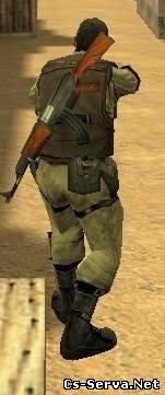 Back Weapons v1.87