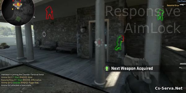 Валхак и Радар для CS:GO Steam